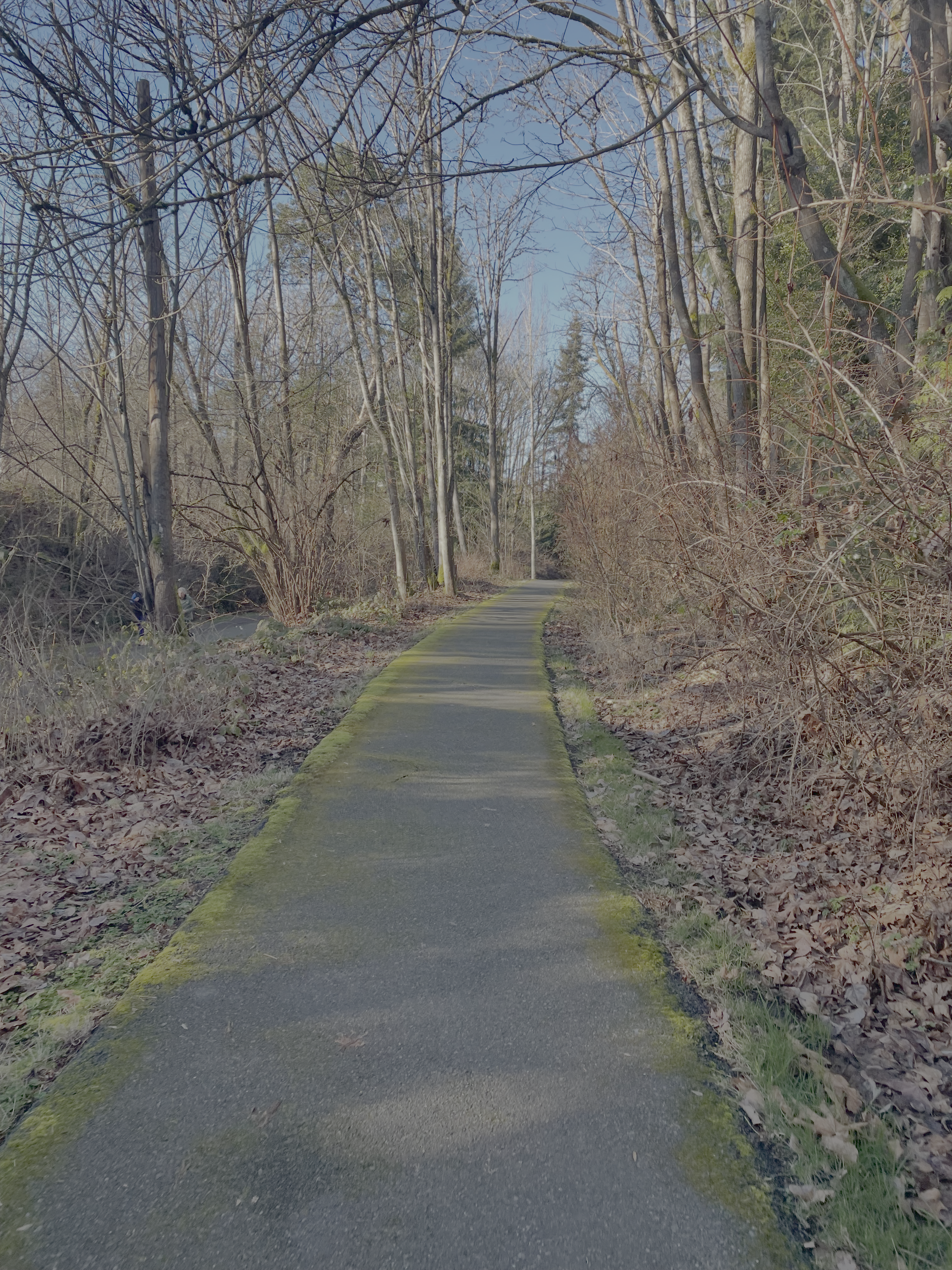 3_walkingpath